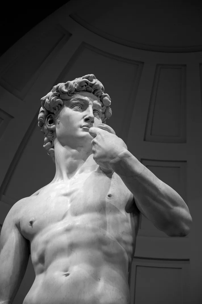 David di Michelangelo — primo piano